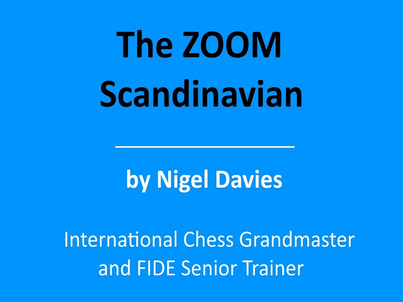 The ZOOM SCANDINAVIAN